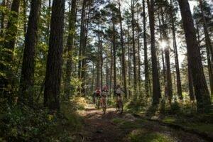 Tracks de Irati ruta BTT por etapas en Navarra
